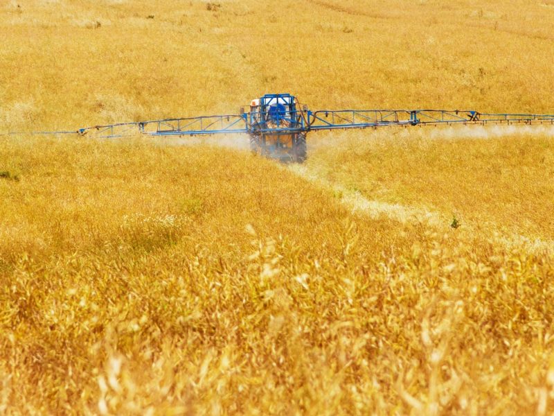 Referendum sui pesticidi: l’agricoltura svizzera a un bivio