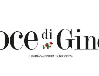 Il media Kit de La Voce di Ginevra