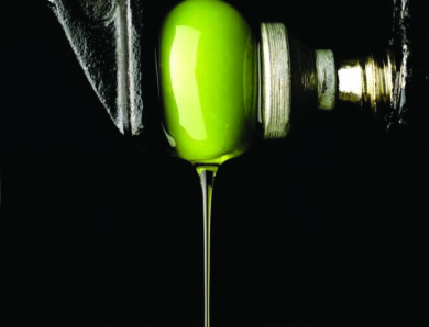 Oro verde d’Italia: l’olio extravergine di oliva, tra tradizione e futuro