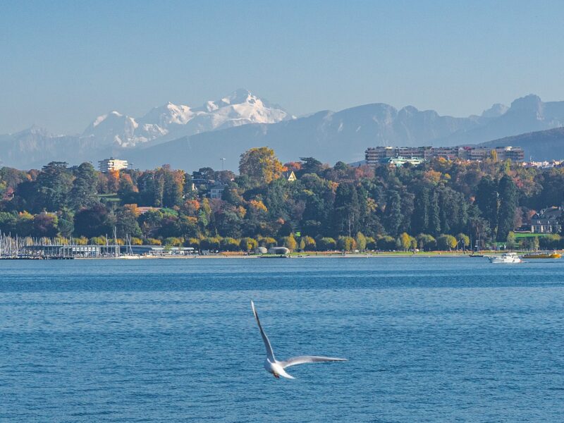 🇮🇹 Nuove voci, nuovi sguardi: La Voce di Ginevra presenta due rubriche inedite