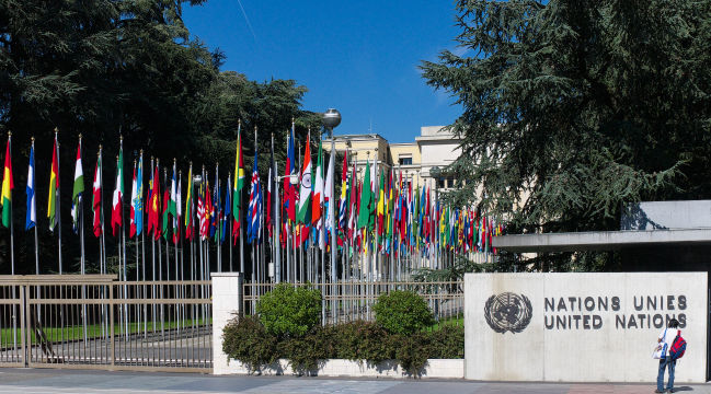 🇬🇧 New voices, new perspectives: La Voce di Ginevra presents two brand-new columns